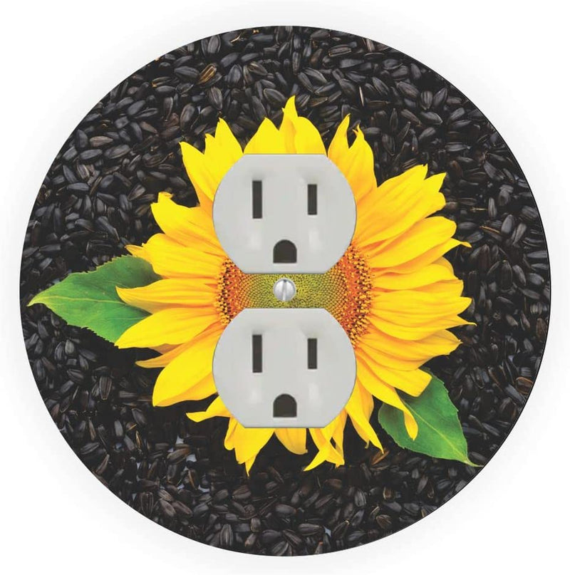 Sunflower - Outlet