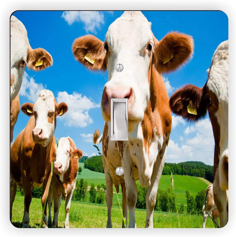 Cows In Field - Square Light Switch Plate Cover - Single Toggle